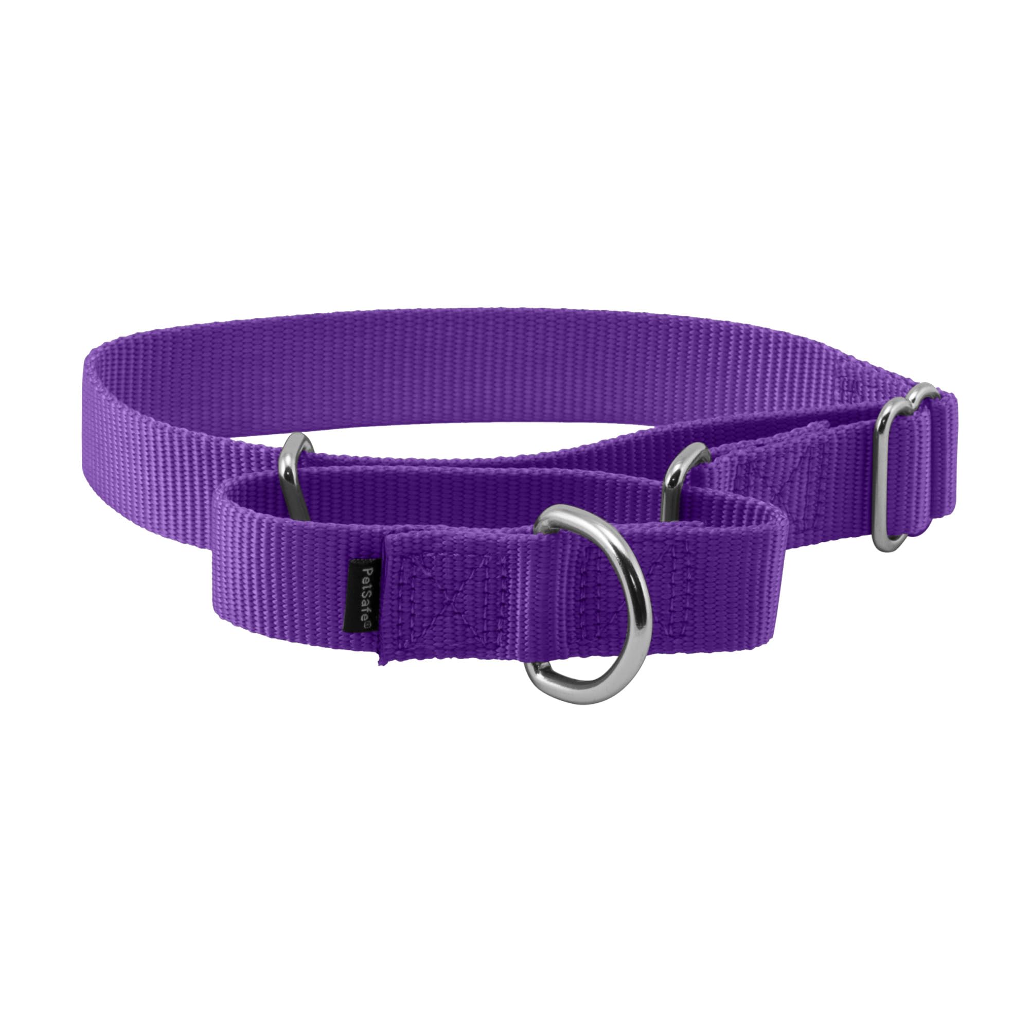 PetSafe Adjustable Martingale Collar - Only Tightens When Dogs Pull, Prevents Slipping Out - Helps with Strong Pullers, Increased Control - Alternative to Choke Collar - 1