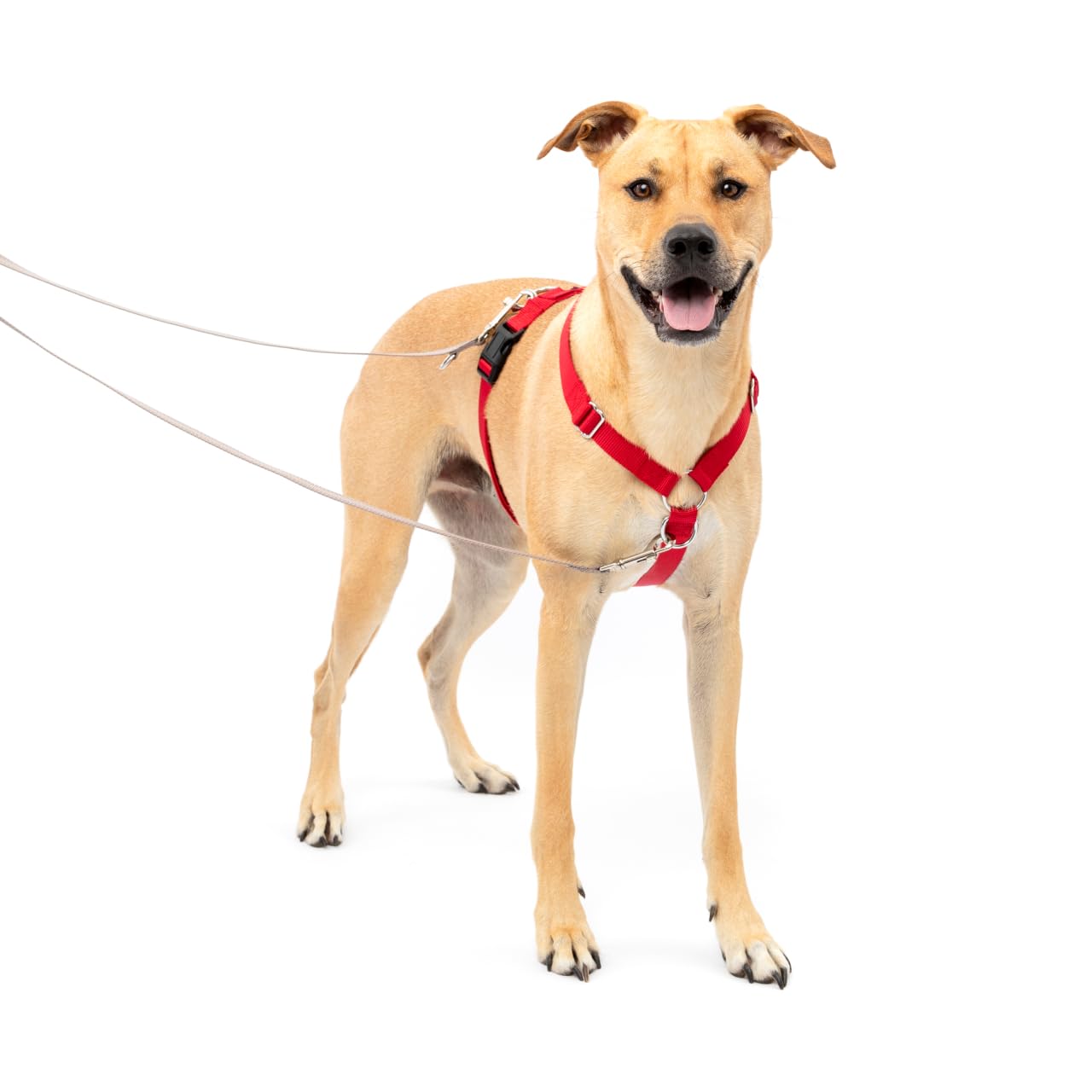 PetSafe Sure-Fit Harness - Maximum Adjustability - Soft Padded Straps - Nylon Strap Pet Harness - Quick Snap Buckle - Built-in Leash Attachment - Travel Friendly - Large - Red, Red, Large (Pack of 1)