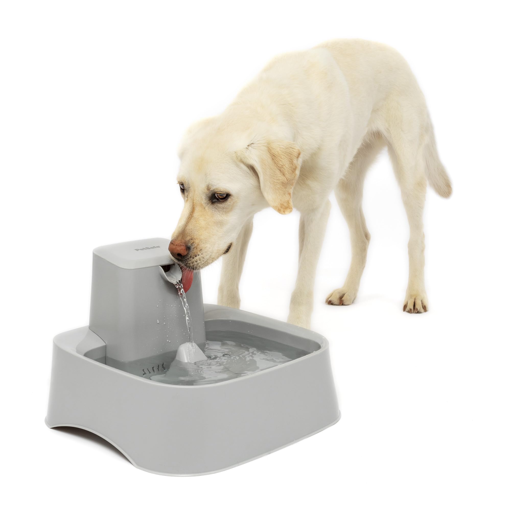 PetSafe Drinkwell Pet Fountain,Dog Water Bowl Dispenser for Cat and Dogs, Plastic, Adjustable Flow Control, Easy to Clean Design,Grey, 2 Gallon/256 oz, 2 gallon, 2 gallon