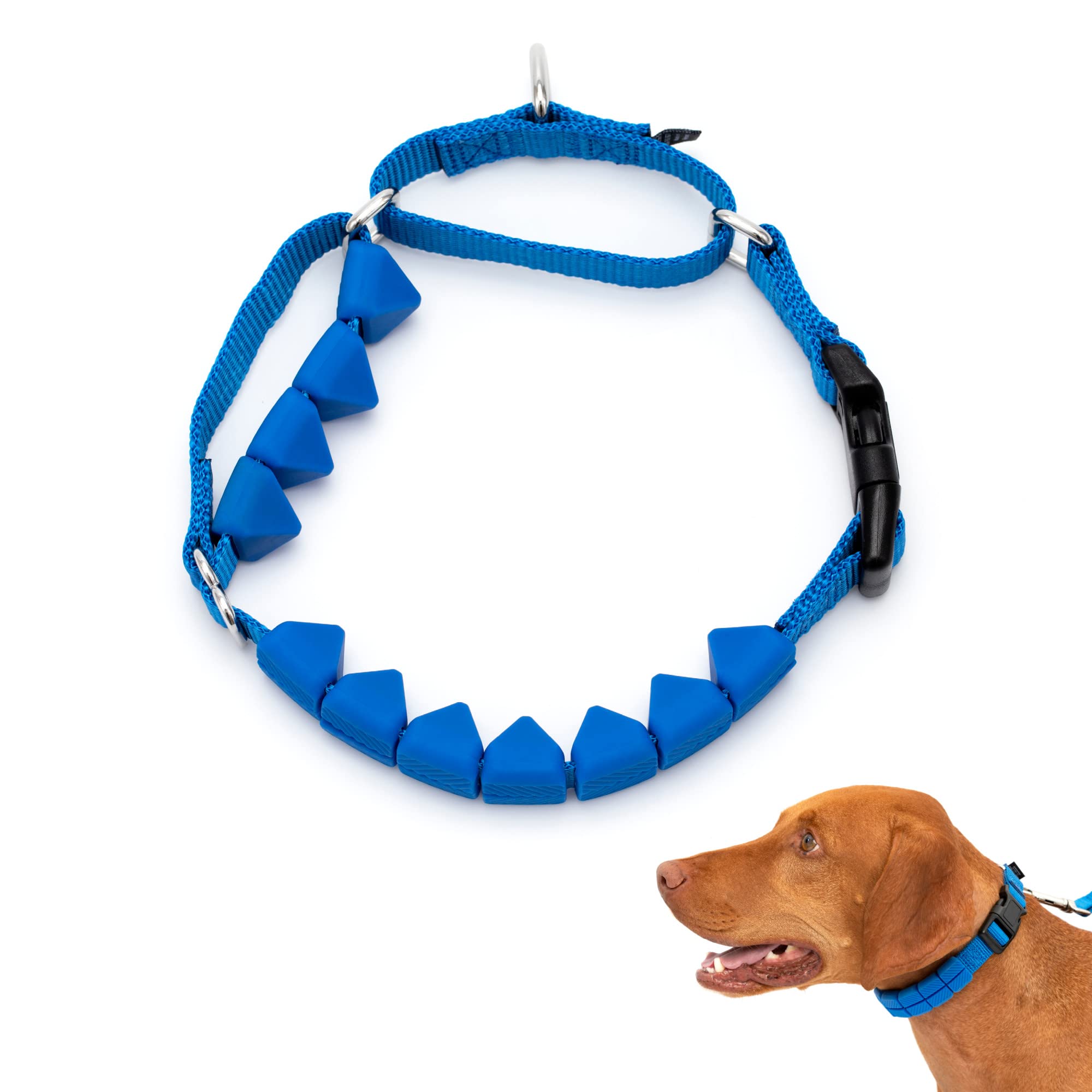 PetSafe Soft Point Training Collar - Comfortable No-Pull Adjustable Quick-Release Collar with Removable Soft Rubber Points - Pain-Free Training for Better Leash Manners - Medium - Blue, Soft Point Training Collar, Blue, Medium