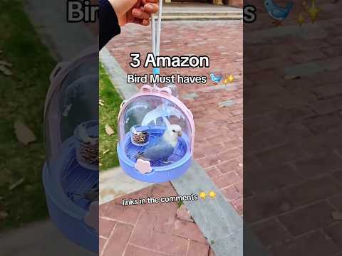 3 Amazon Finds for your bird 🐦🙈
