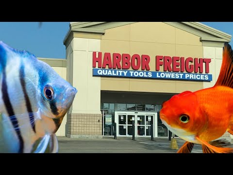 9 Useful Fish Tank Supplies that you can buy at Harbor Freight