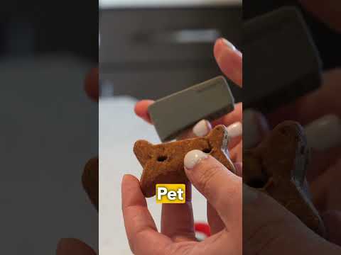 Amazon Pet Gadgets You Need