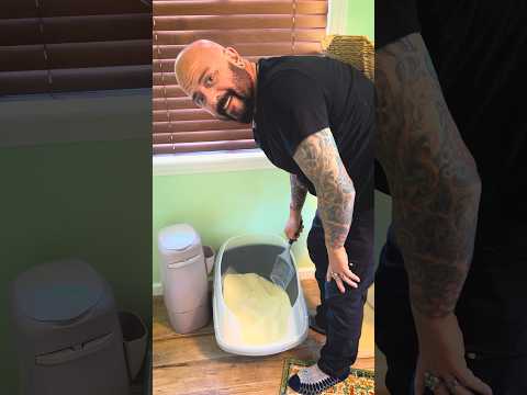 Automatic litter boxes: are they really worth the hype? #cats