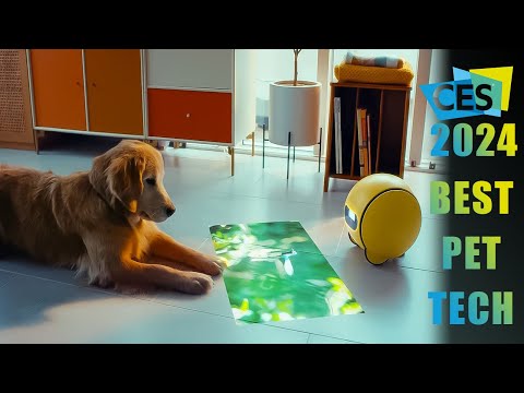 Best Pet Tech Products From CES 2024