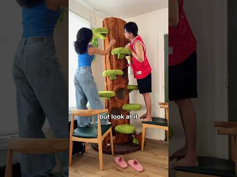 Building a GIANT Cat Tree