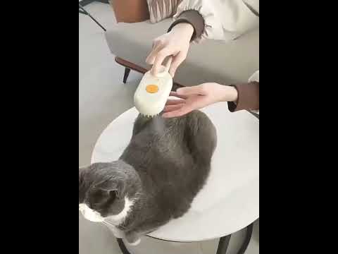 Cat Steam Brush