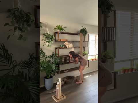 DIY Stylish Cat Tree #diy #petlover #cattree #catslover #diyideas #cats