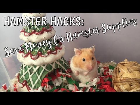 HAMSTER HACKS | Cheaper Alternatives To Pet Store Small Animal Supplies!