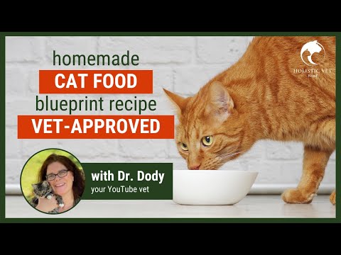 Homemade Cat Food Recipes Vet Approved | Basic Blueprint