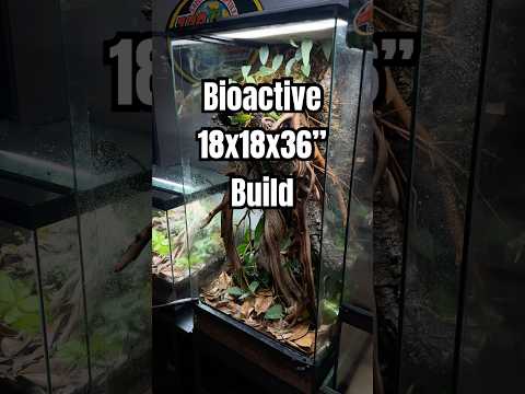 How to Build a Bioactive 18x18x36” ZooMed Skyscraper #reptileshop #bioactive #terrarium #gecko