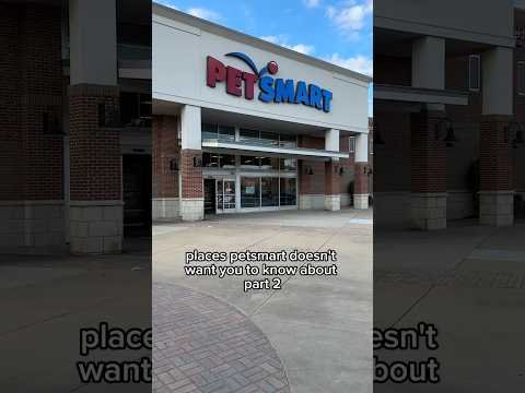 How to SAVE MONEY in the REPTILE Hobby 💰🦎🐍