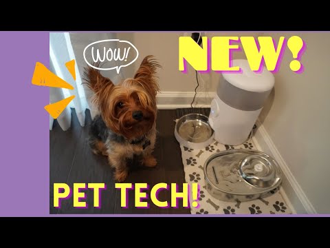 MUST HAVE PET TECH 2022 - WoPet Feeders
