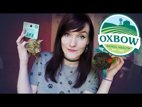 Oxbow Chew Toys! | Small Animal Supply Haul | Munchie's Place