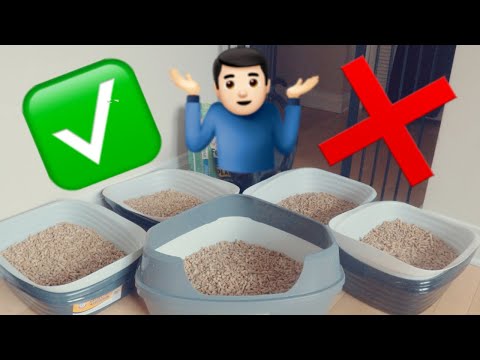 Pine Pellet Cat Litter Pros And Cons