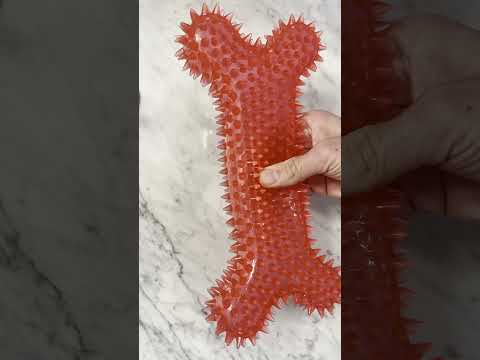 Tested Squeaky Dog Toys...This was most Annoying #dog #puppy #pets