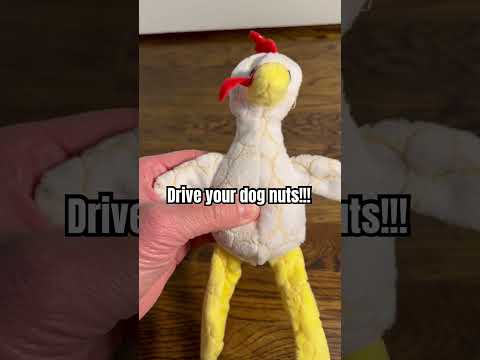 Tested Squeaky Dog Toy…this was fun! #dogtoys