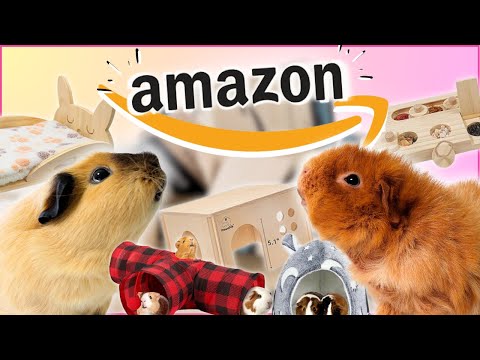 Testing Amazon Guinea Pig Products! 🛒