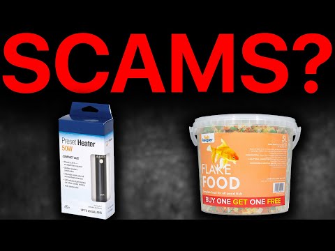 These Popular Fish Tank Products Are Completely Useless