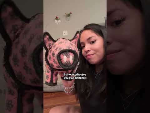 This Dog Toy Survived 2 Months of Playtime | The Pack