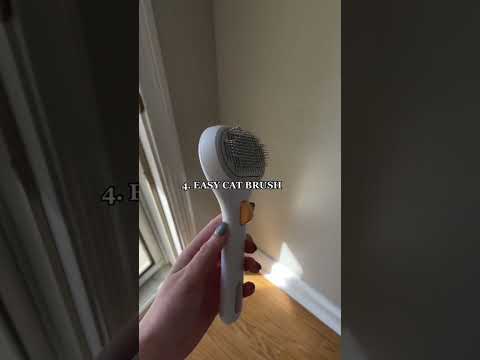 Top 6 Amazon Pet Products for Cats