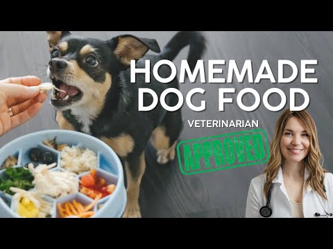 VET APPROVED Homemade Dog Food Recipe (Affordable & Healthy)