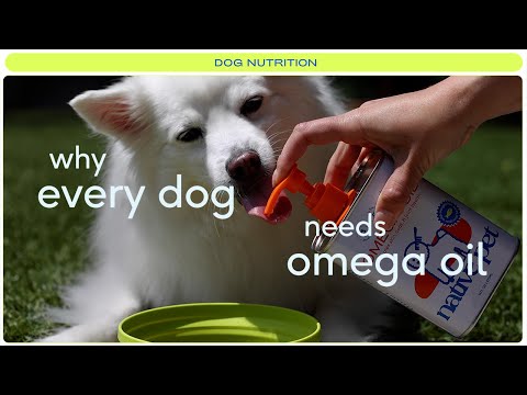 Why Every Dog Needs Omega Oil | FISH OIL FOR DOGS