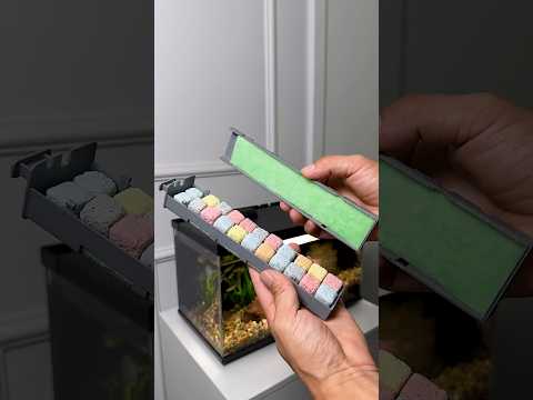 Xiaomi fish tank filter module #trending #aquaristic #fishtank #aquarium #fish #fishvideo #fishbowl