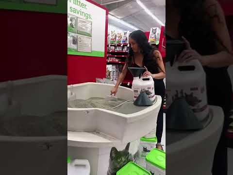 Zero Waste Way I Buy Cat Litter😻💩 #zerowaste #zerowastepets #ecofriendly #cat #cats #catsoftiktok